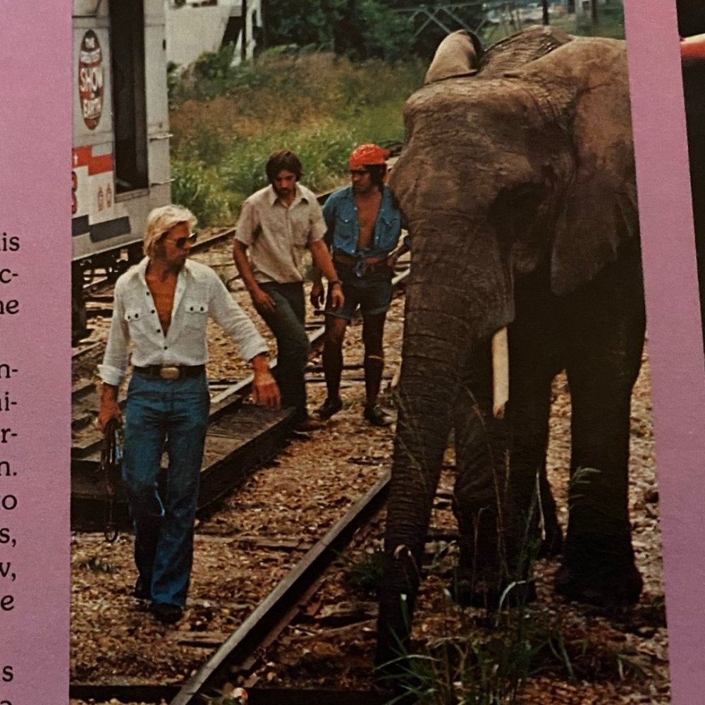Vintage Ringling Brothers 1977 Circus Show Book - Picture 15 of 16